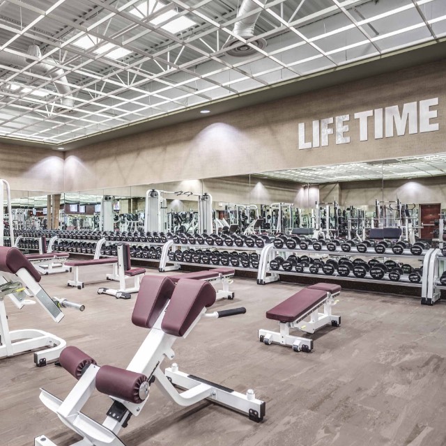 Lifetime discount fitness weights